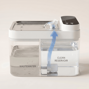 Fresh water dispenses into the bowl